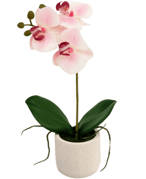 Kunstig Orkidé Real Touch Mini Lys Rosa 30cm