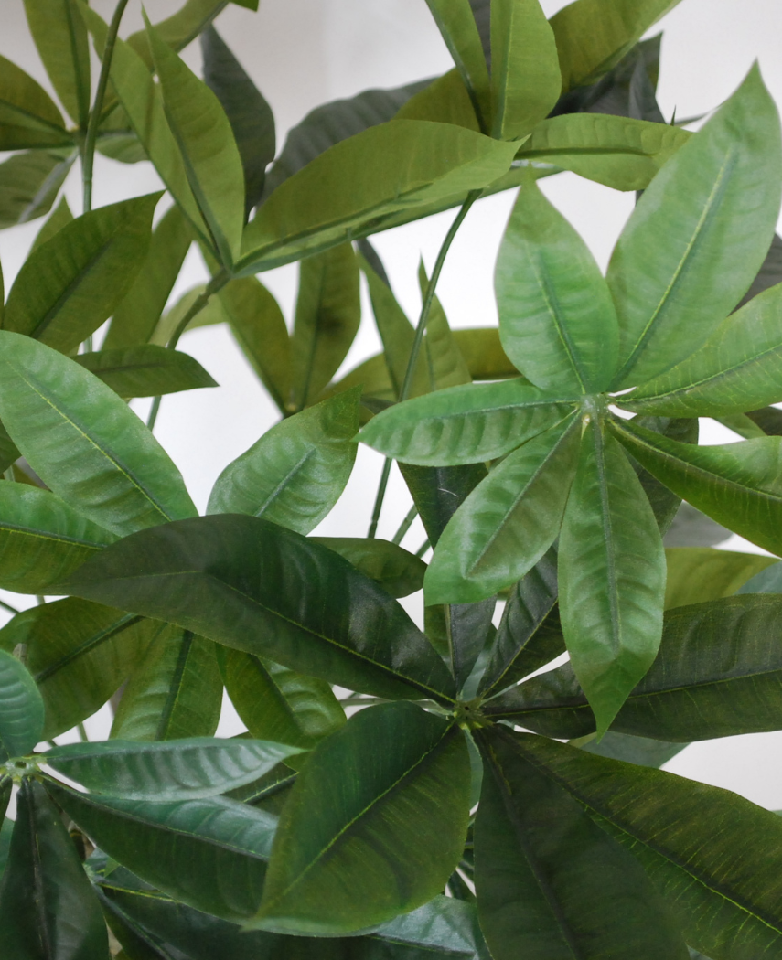 Kunstig Pachira Minitre 70 cm