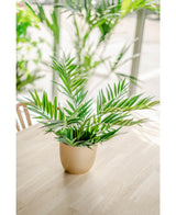 Kunstig Palmeplante 60cm
