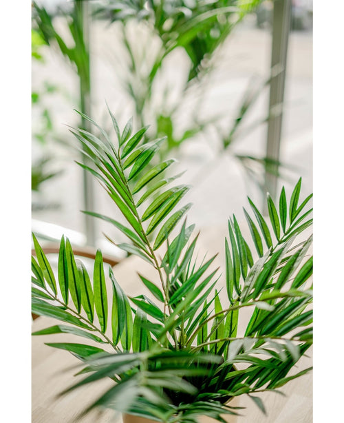 Kunstig Palmeplante 60cm