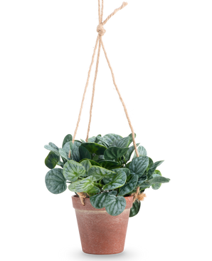 Kunstig Peperomia i Hengende Potte 18 cm