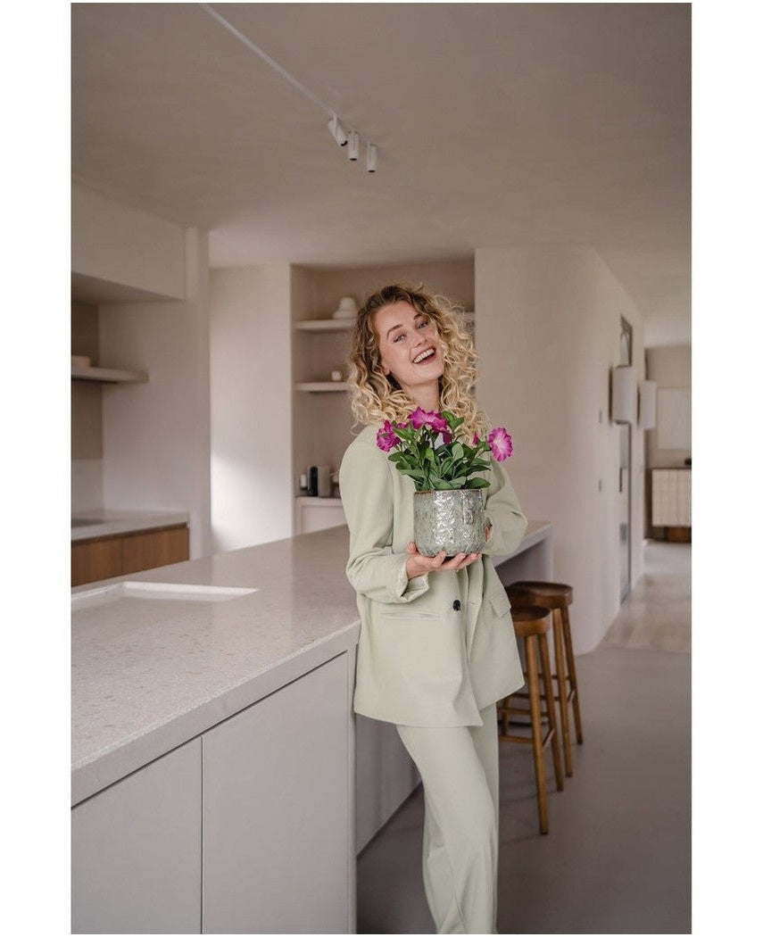 Kunstig Petunia i Potte Mørk Rosa 25cm