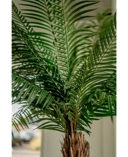 Kunstig Phoenix Palme De Luxe 210cm