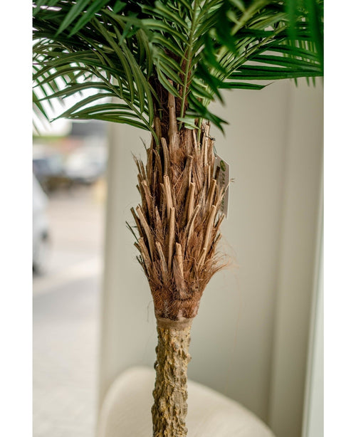 Kunstig Phoenix Palme De Luxe 210cm