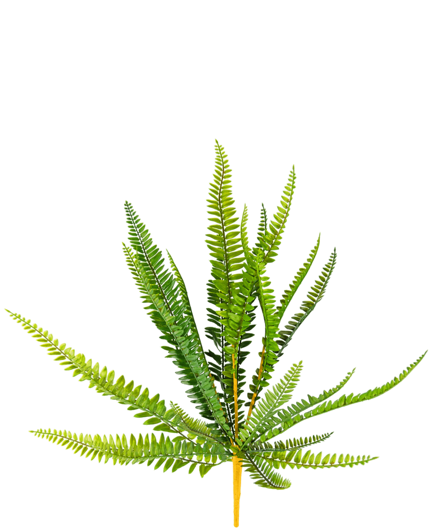Kunstig Plante Bregne 55cm – ambiplants.no