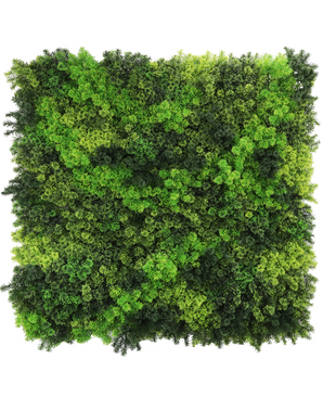 Kunstig Plantevegg Fairyland Mose 100x100cm UV