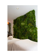 Kunstig Plantevegg Freshness 100x100 cm UV