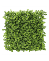 Kunstig Plantevegg Mose 50x50 cm UV