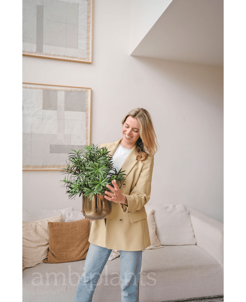 Kunstig Podocarpus i Potte 47cm