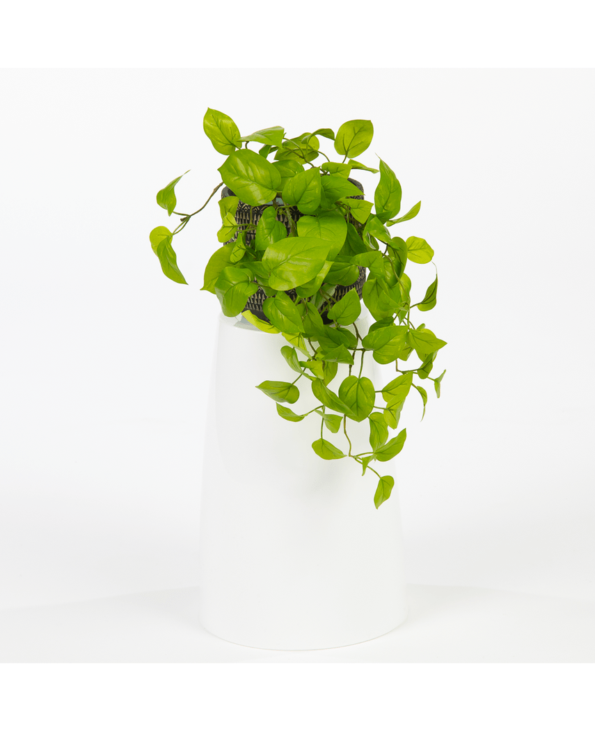 Kunstig Pothos Busk Deluxe 60cm