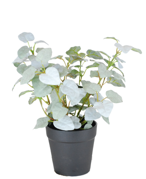 Kunstig Pumila "Silver" i Potte UV 25cm