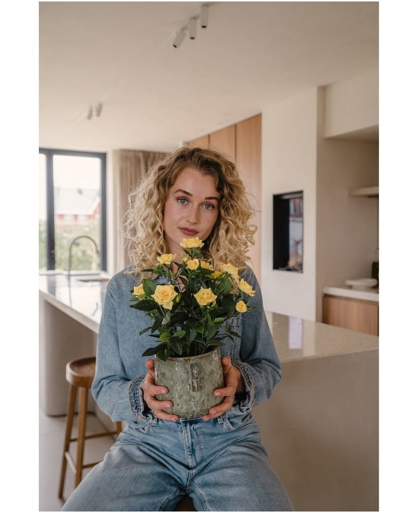 Kunstig Rosebusk i Potte Gul 35cm