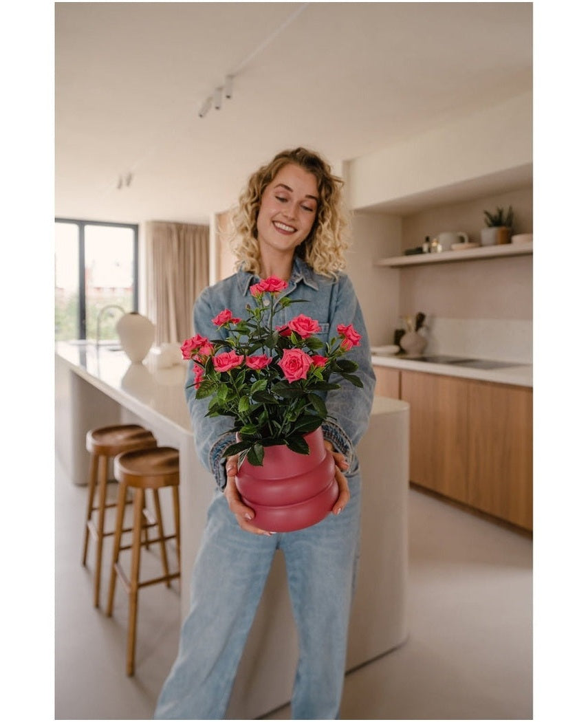 Kunstig Rosebusk i Potte Rosa 35cm