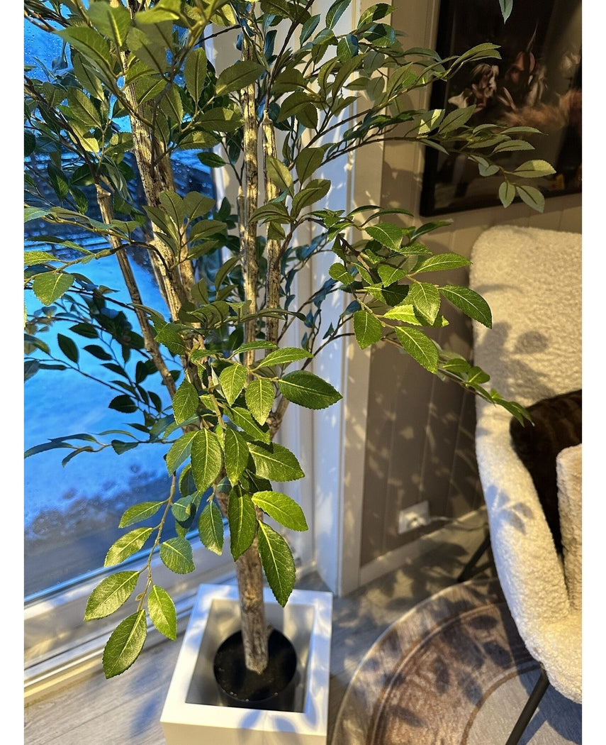 Kunstig Ruscus Tre 150cm