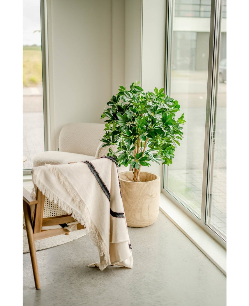 Kunstig Schefflera 120cm