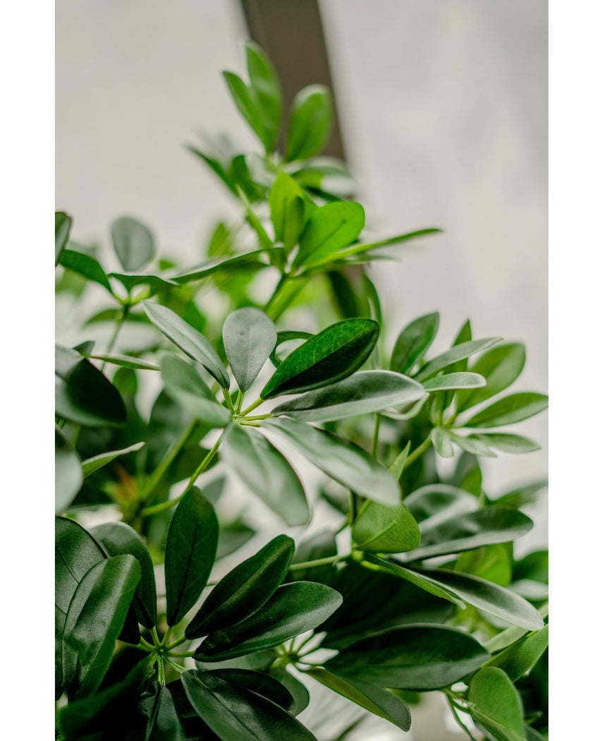 Kunstig Schefflera 120cm