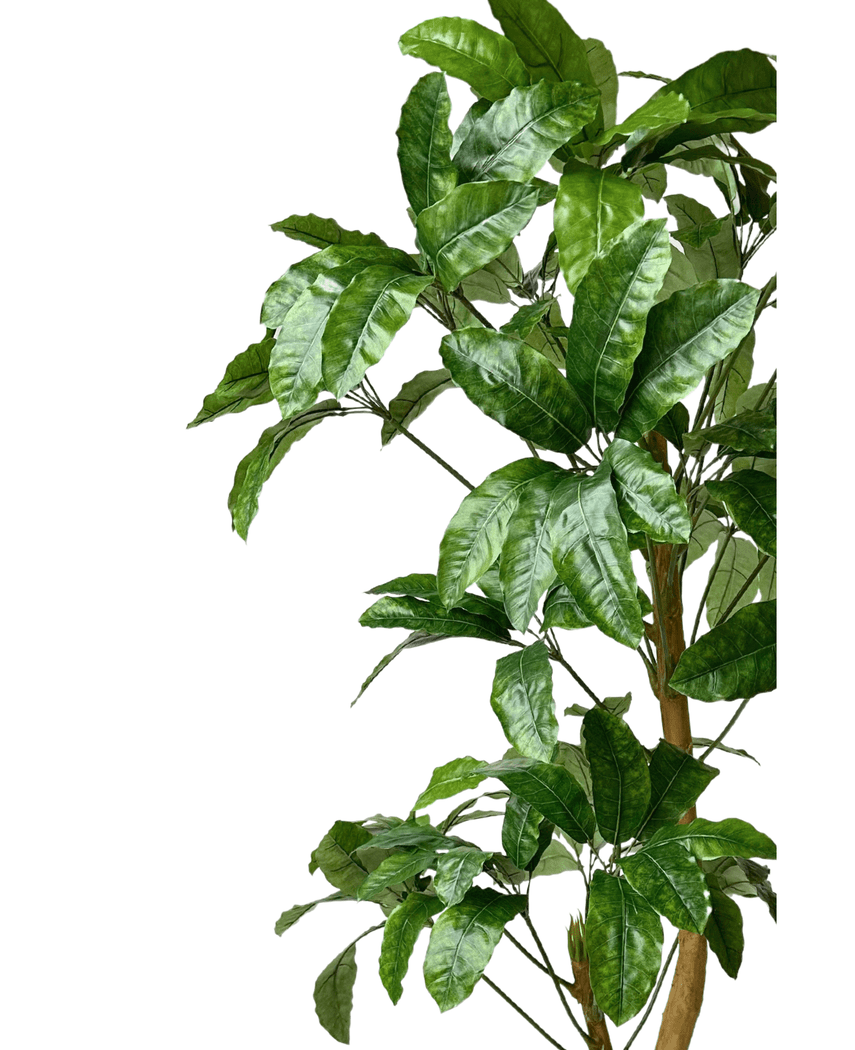 Kunstig Schefflera Gigant 200cm