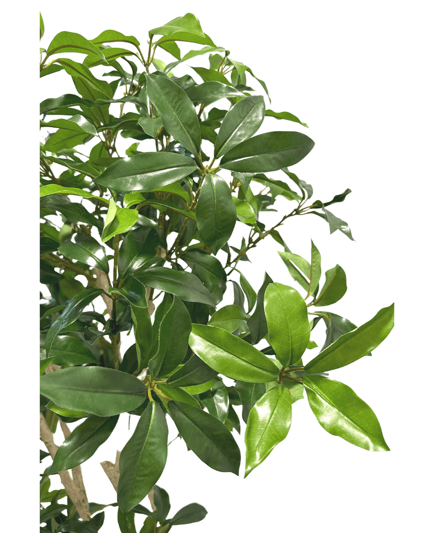 Kunstig Shikibi Laurbær Tre 150cm