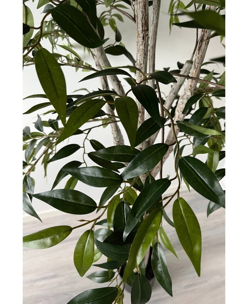 Kunstig Smilax Sarsaparilla 180cm