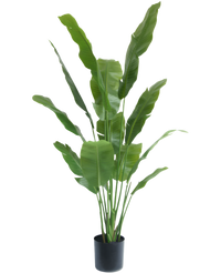 Kunstig Strelitzia Nicolai Deluxe 165cm