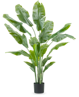 Kunstig Strelitzia Nicolai Deluxe 180cm