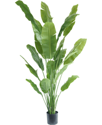 Kunstig Strelitzia Nicolai Deluxe 210cm