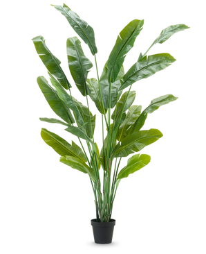 Kunstig Strelitzia Nicolai Deluxe 240cm