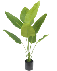 Kunstig Strelitzia Real Touch 120cm