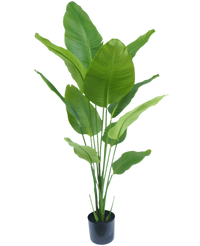 Kunstig Strelitzia Real Touch 150 cm