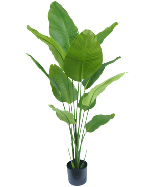 Kunstig Strelitzia Real Touch 150 cm