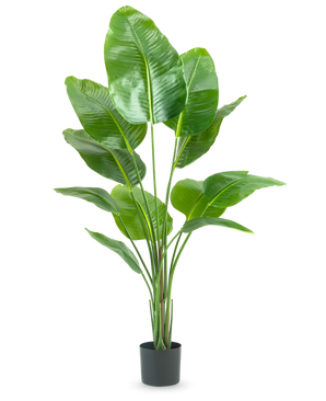 Kunstig Strelitzia Real Touch 150 cm