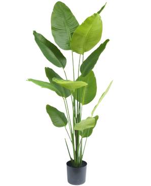 Kunstig Strelitzia Real Touch 180 cm