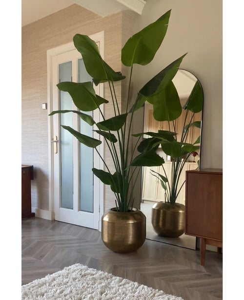 Kunstig Strelitzia Real Touch 240 cm