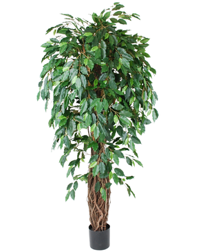 Kunstig Tropisk Fikus 180cm