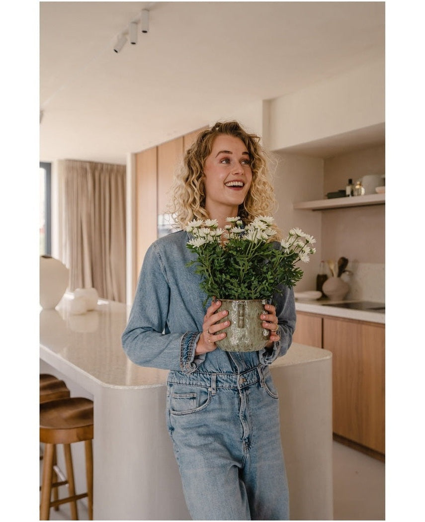 Kunstig Tusenfryd Hvit i Potte 31cm