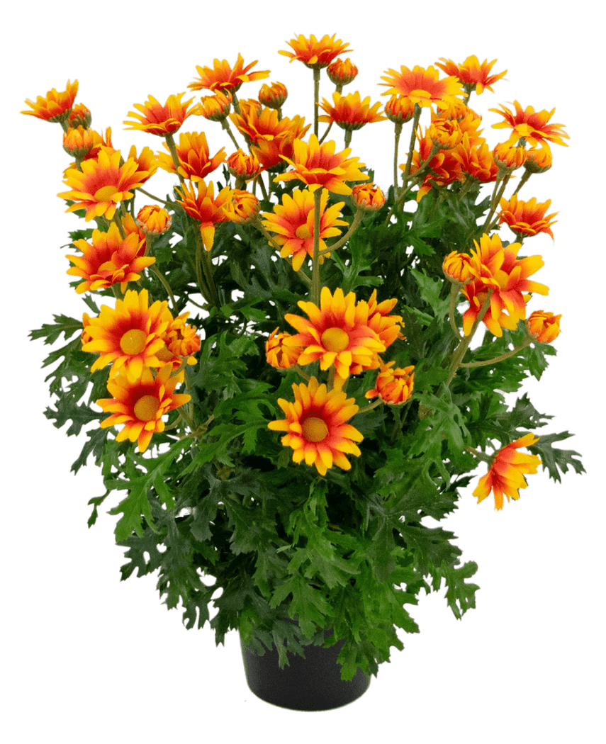 Kunstig Tusenfryd Oransje i Potte 31cm