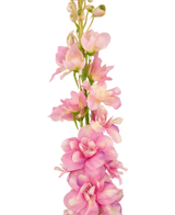 Kunstig blomst Delphinium 79 cm rosa