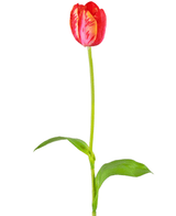 Kunstig blomst Fransk Tulipan 60 cm rød
