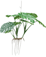Kunstig hengende plante Monstera 130 cm XL