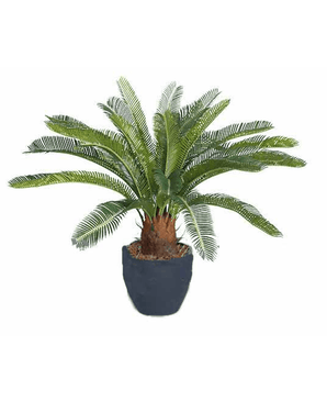 Kunstig plante Cycas 60 cm UV