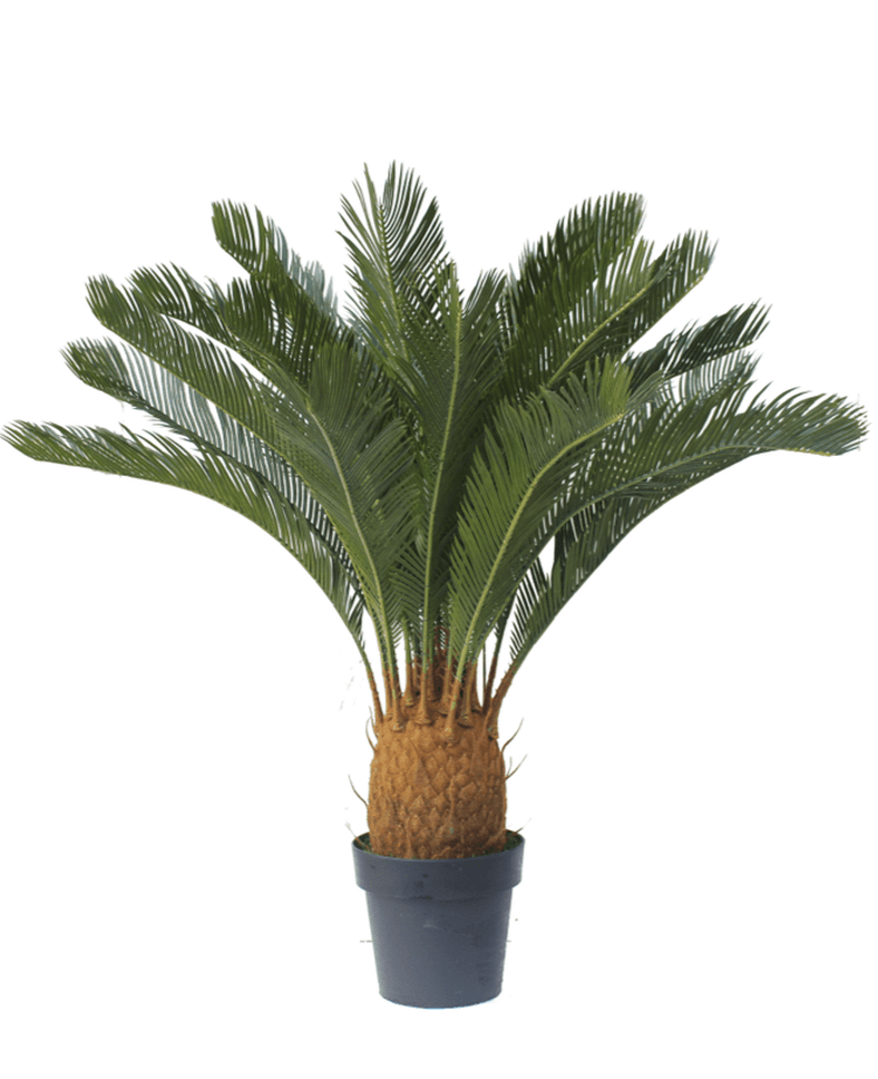 Kunstig plante Cycas 90 cm UV