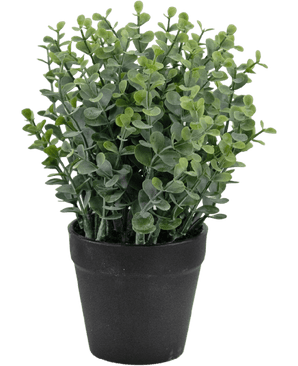 Kunstig plante Pumila 23 cm