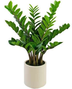 Kunstig Zamioculcas i Beige Krukke 80cm