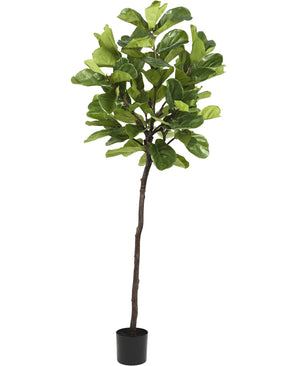 Kunstige Fiolinfiken Deluxe 210cm