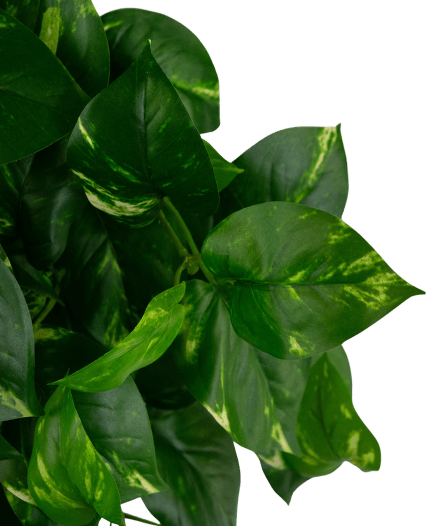 Kunstige Hengende Gullranke Deluxe 80cm