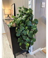 Kunstige Hengende Gullranke Deluxe 80cm