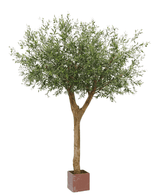 Kunstige Oliventre m/Oliven 300cm