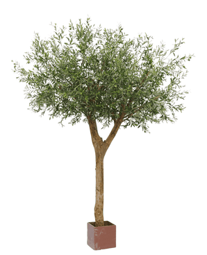Kunstige Oliventre m/Oliven 300cm