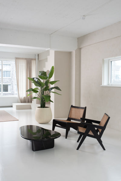 Kunstig Strelitzia Deluxe 180 cm ferdig i potte m/ dekorbark