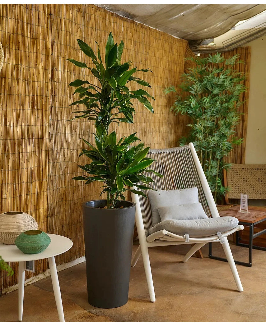 Blomsterpotte TUIT RAW Antrasitt 60 cm